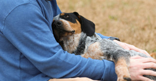 Strengthening the bond between you and your pet