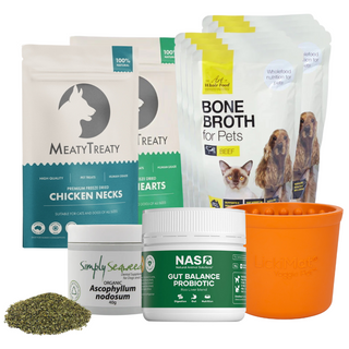 Dog essentials bundle