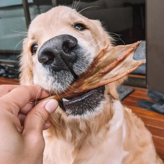 Laila & Me Dehydrated Australian Duck Feet Crunchy Dog Treats