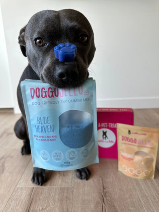 Laila & Me DIY Doggo Jello Healthy Dog & Cat Treats - Blue Heaven 100g