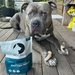 Premium Freeze-Dried Treats Bundle for Dogs