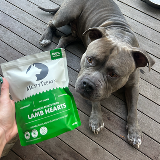 Premium Freeze-Dried Treats Bundle for Dogs